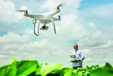 数字农业的未来前景,新农业创业前景无限