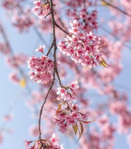昆明适合拍照的景点有哪些,昆明大理周边旅游景点排名榜前十