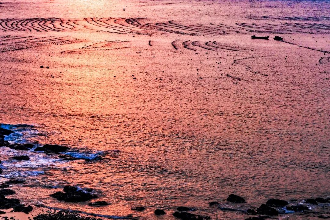 旅游三亚和厦门哪个更值得去,三亚和厦门哪一个更值得去旅游