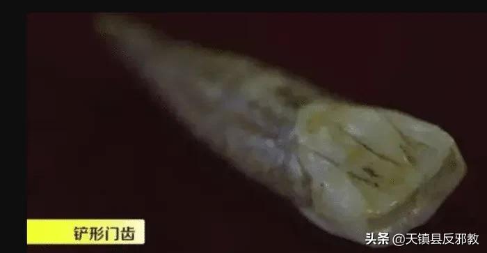 祖先留在国人身上的三大印记,先祖在我们身上留下3大印记