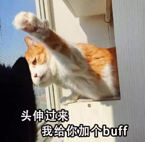 5种不同的抱猫姿势,女人抱猫睡觉的正确姿势