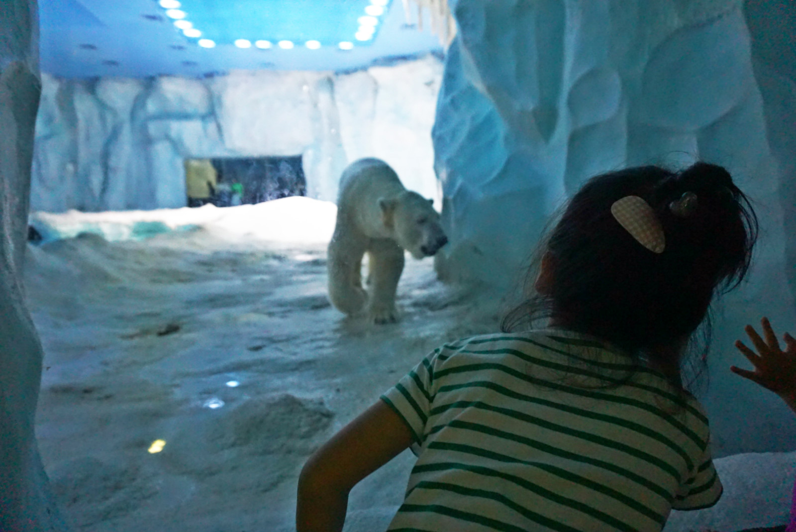 常州恐龙园和珠海长隆哪个好玩,珠海长隆海洋王国好玩吗