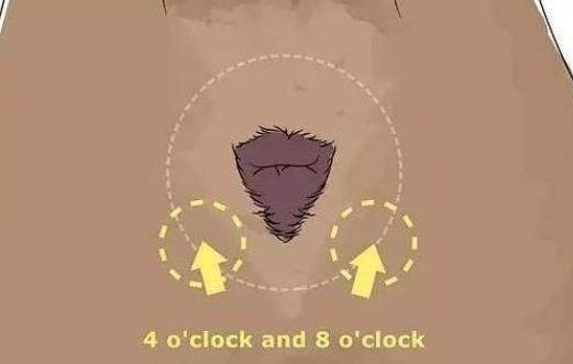 濡備綍缁欐嘲杩嫍鐙楁尋鑲涜吅,鎬庝箞缁欐嘲杩嫍鐙楁尋鑲涜吅