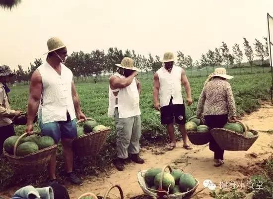 健身怎么才能把死肌肉练成活肌肉,你健身的真实原因是什么