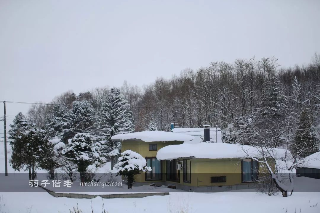 老实说，这一趟北海道就是为了拍好看的照片去的