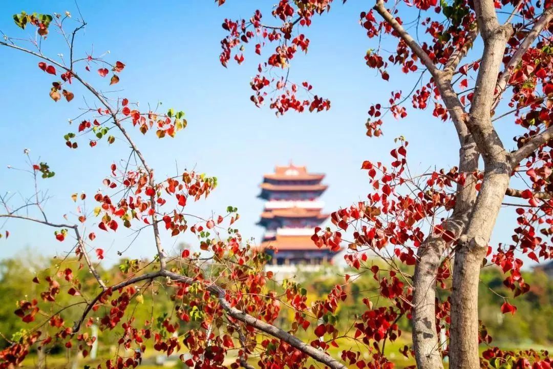 郑州漂亮的秋色风景,郑州的这些湖畔藏着最美的秋色