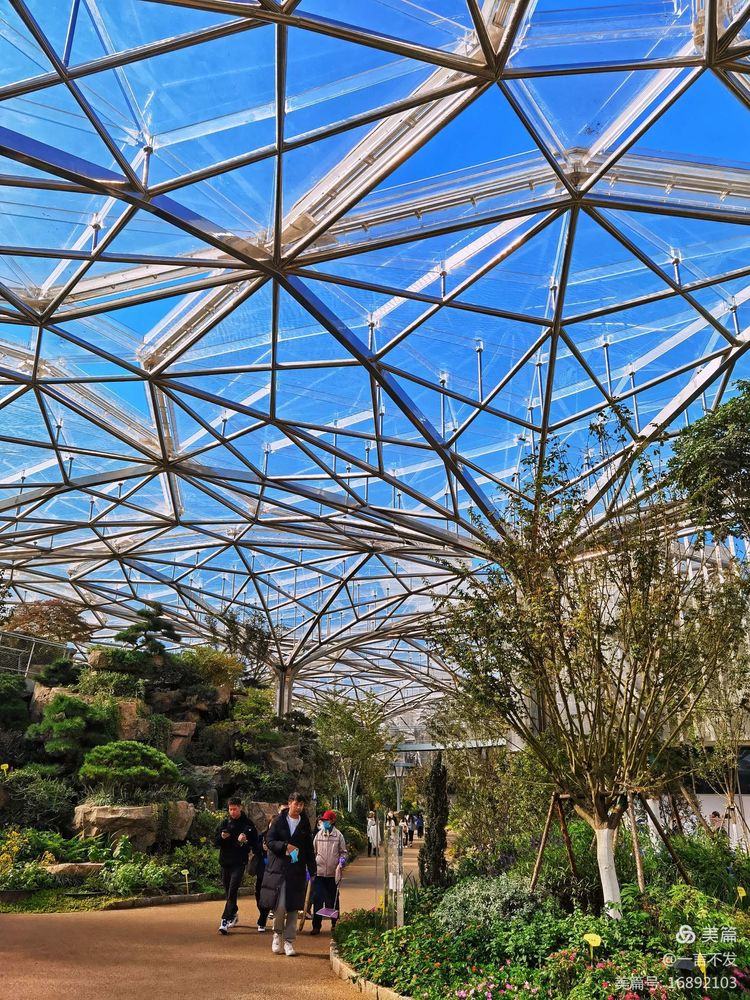 秋之旅免费完整版,秋之旅风景图片