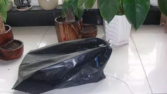 文玩葫芦抛光后还会变色吗,文玩葫芦手盘多久变红