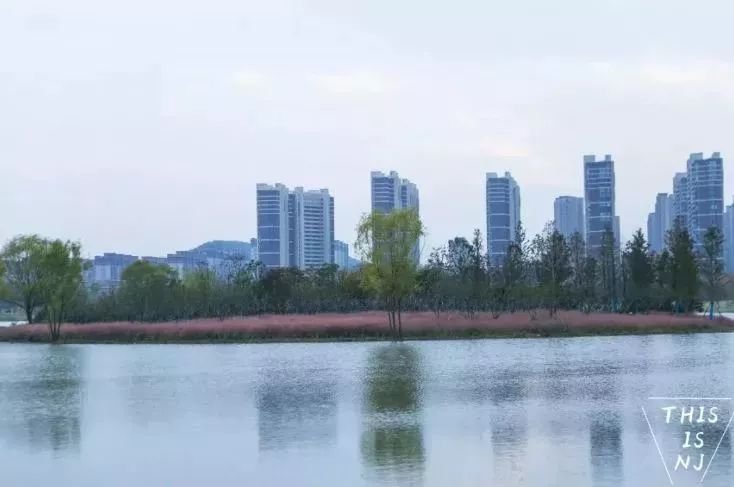 南京免费的公园,太全了全国旅游简图