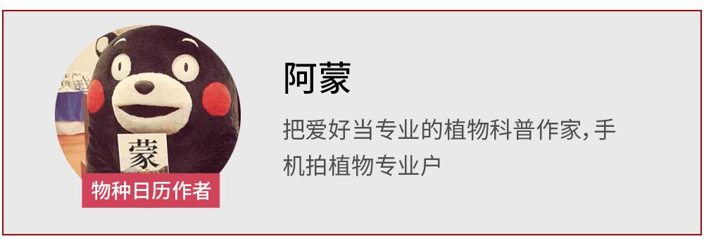 银杏树臭哄哄的,银杏树很臭么