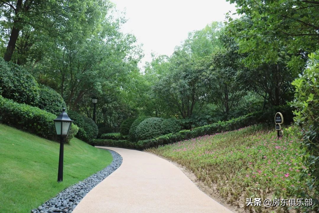 盘活收回低效闲置土地,盘活区域资源