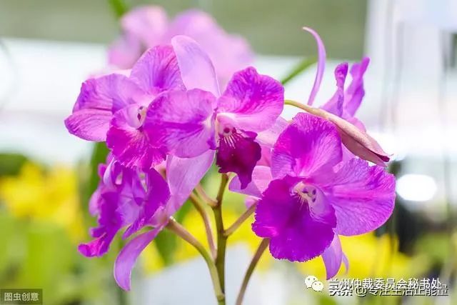 【兰仲悦读】三观不同，不必为伍