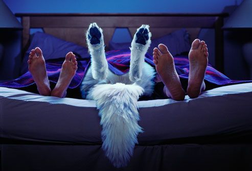 26岁改善睡眠最好的方法,治疗睡眠的100种方法