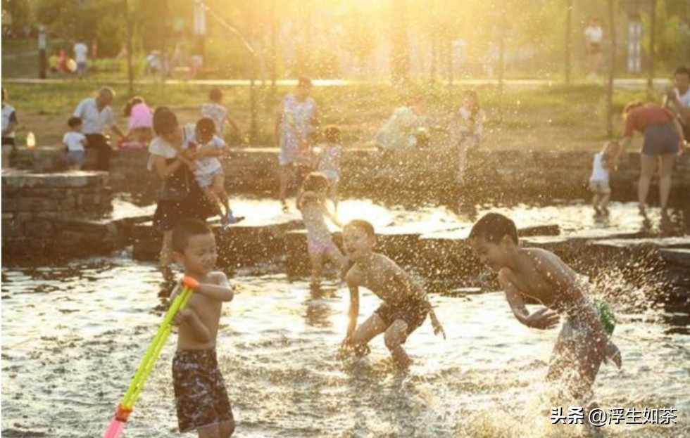 咸阳市渭柳湿地公园,咸阳渭城区渭柳湿地公园建设
