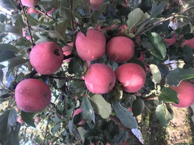 双11各大品牌各大电商有什么亮点,双11走进第13年阿里的价值如何看