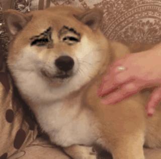 常见的20种网赚骗术揭秘,韭菜有效套路