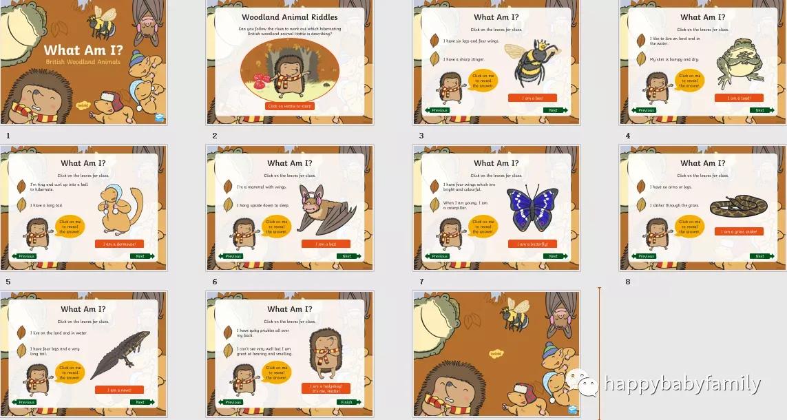 卡通小动物ppt免费,幼儿园卡通动物ppt免费图片