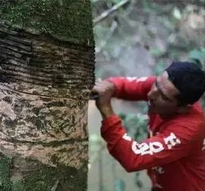 今年流行的帆布鞋长什么样子,今年流行的帆布鞋花纹