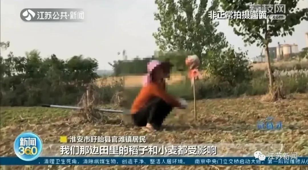 2024洪泽湖生态红线,洪泽湖大堤建设现状