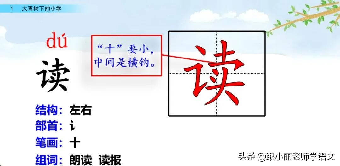 大青树下的小学必会知识点,大青树下的小学必考知识点
