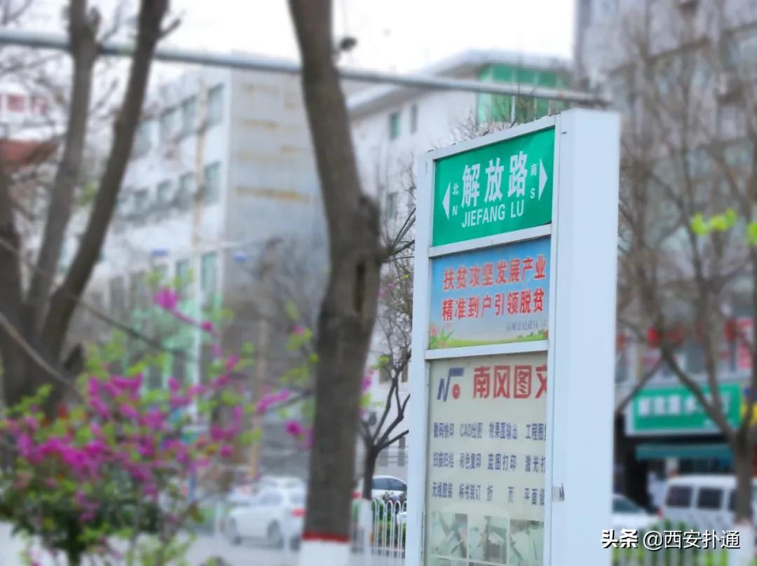 蒲城县好吃的地方推荐晚上,蒲城吃的最多的地方