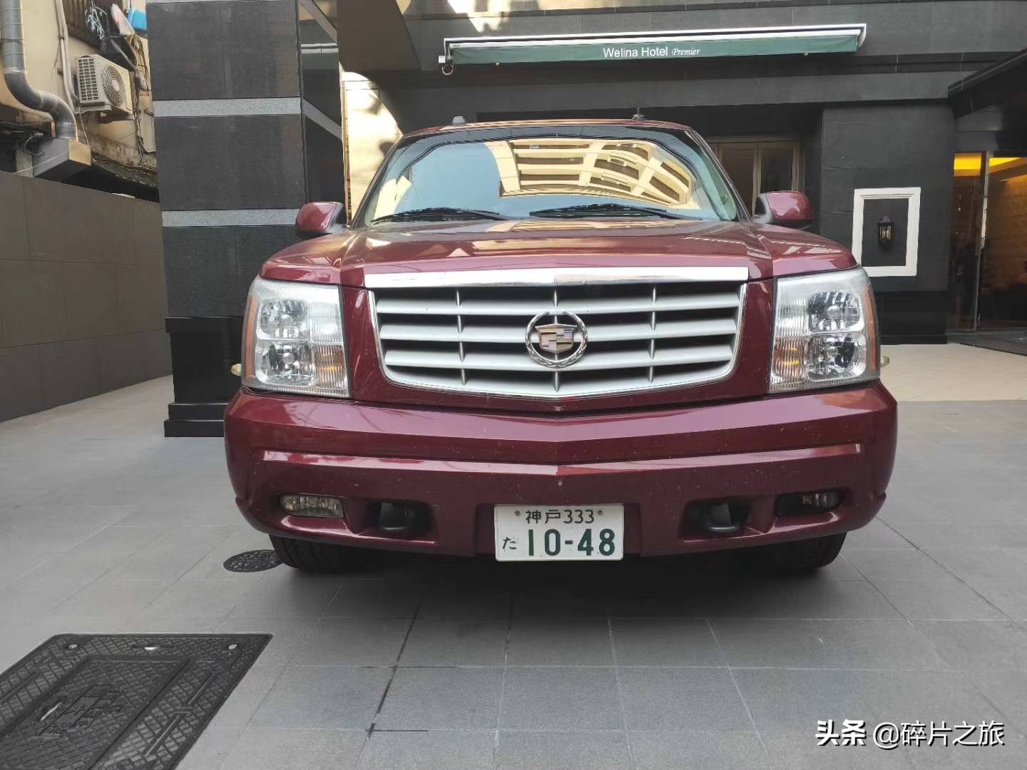 乘风破浪的姐们-上海日本豪华游轮六天五夜游攻略