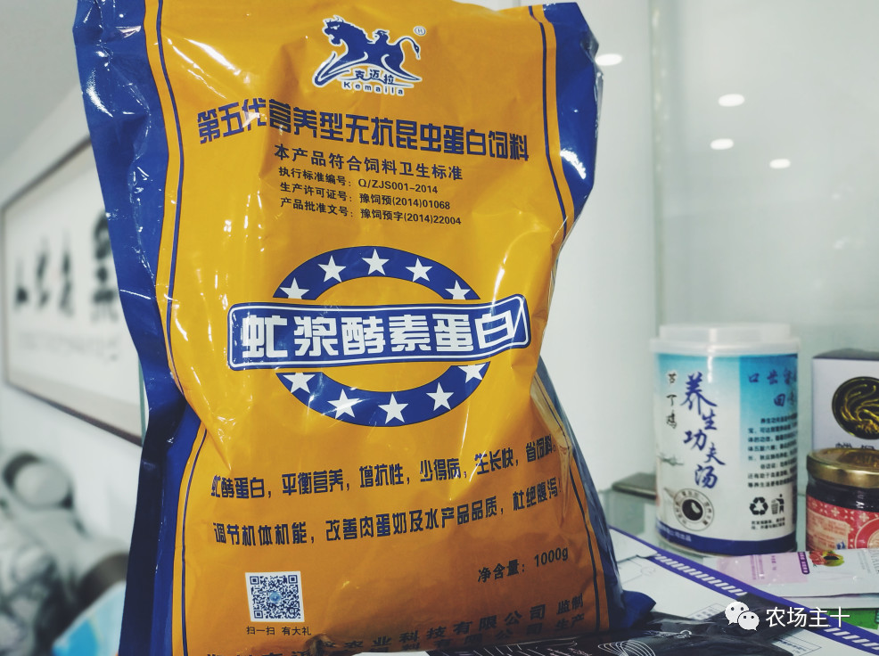 从乞丐到身价200万仅用一年时间,从乞讨到名相的传奇人生