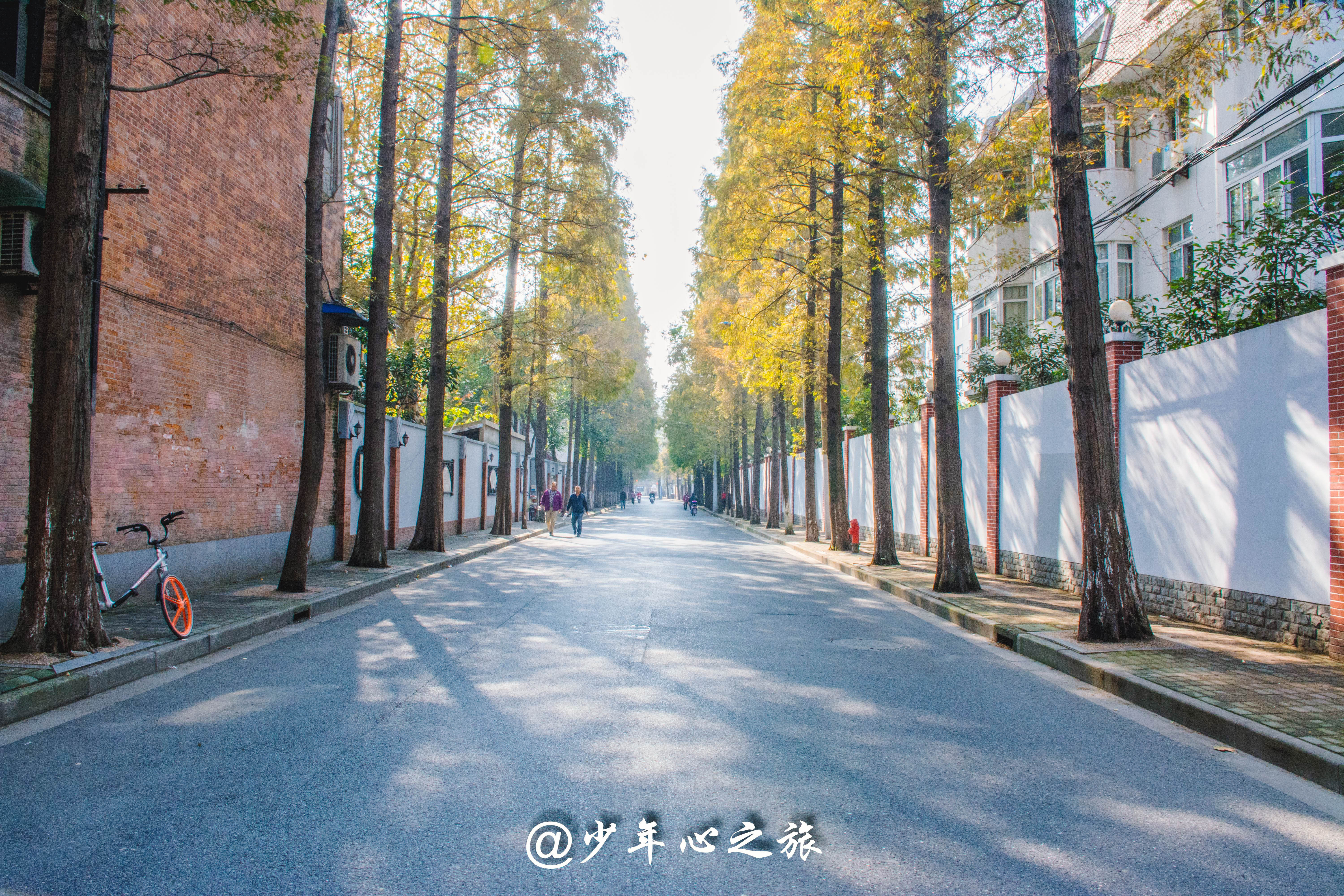 上海的疏离感边界感,上海是一座边界感很强的城市