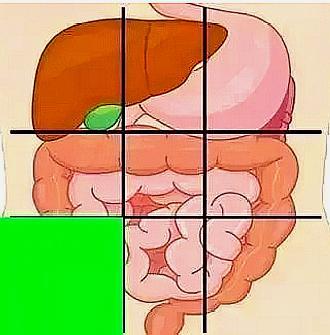 肚子上腹的位置疼什么原因,中下腹肚子痛是什么原因