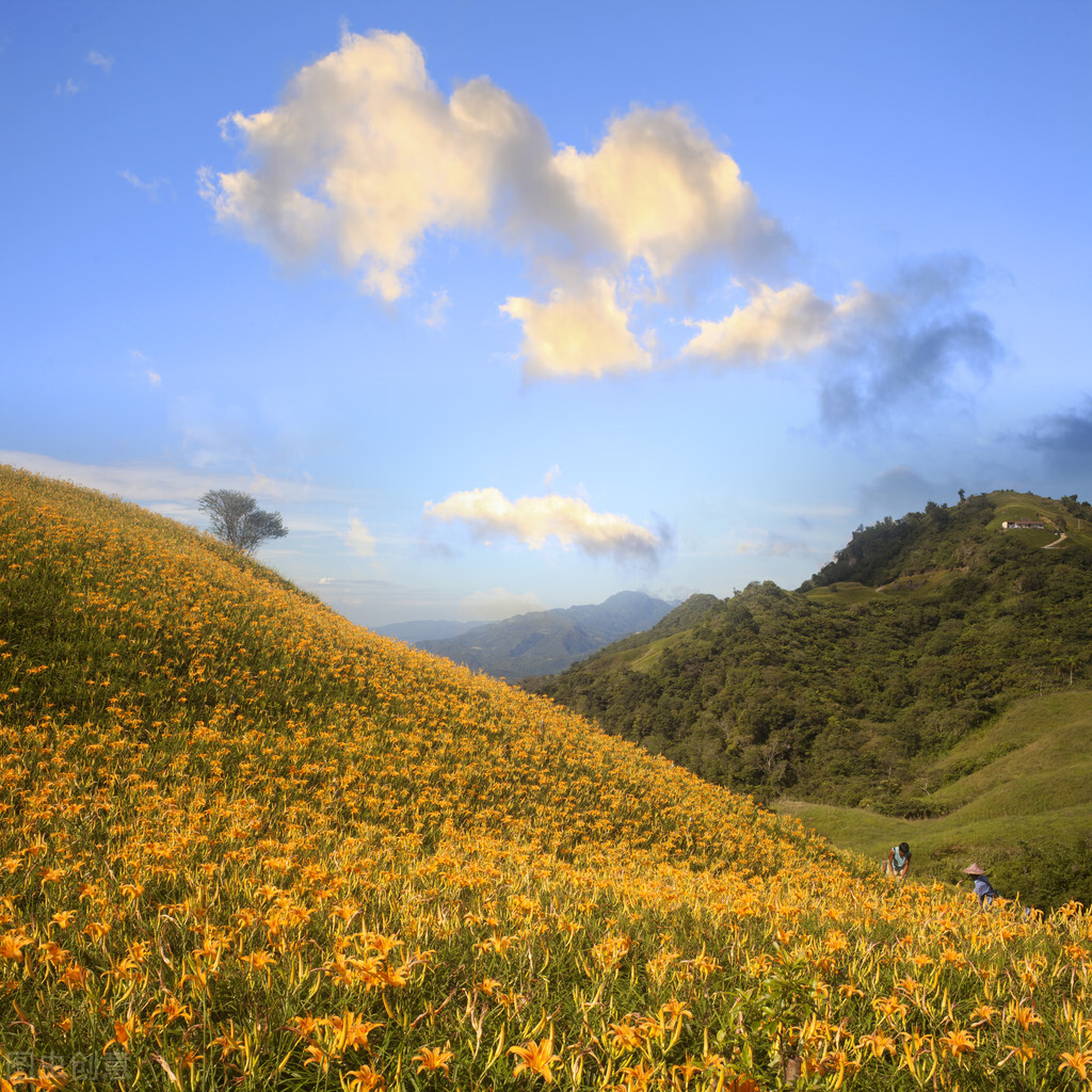 乡愁宝岛台湾,乡土地理广东