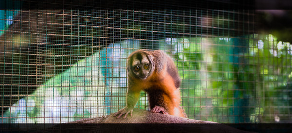 泰国旅游漫游,最新鲜玩转泰国攻略