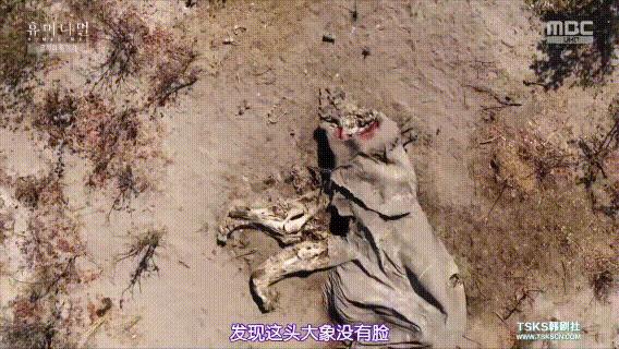 富二代晒人骨皮包的真相完整版,富二代晒人骨皮包图片