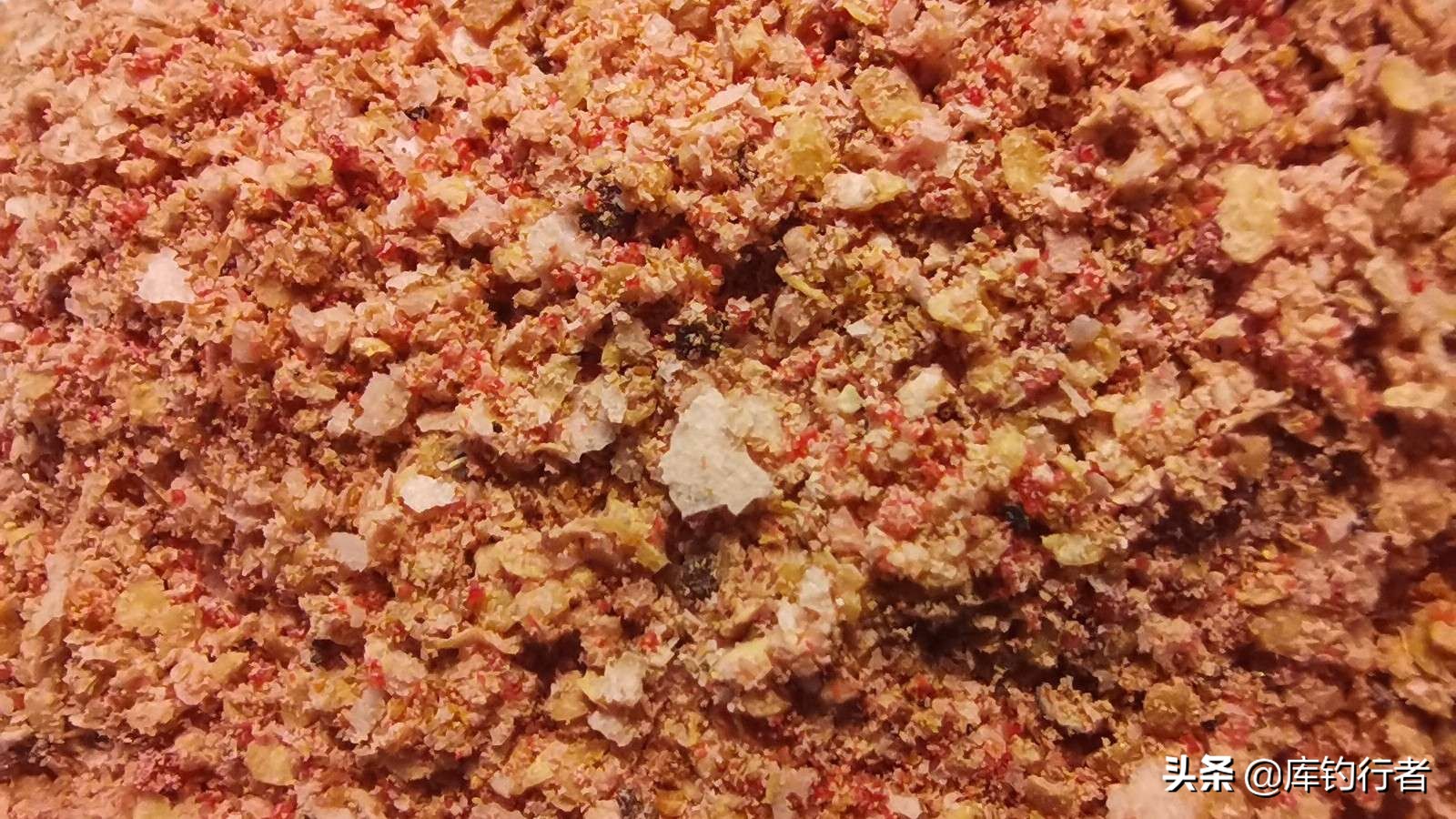 蓝鲫饵料实战评测,测评野战蓝鲫