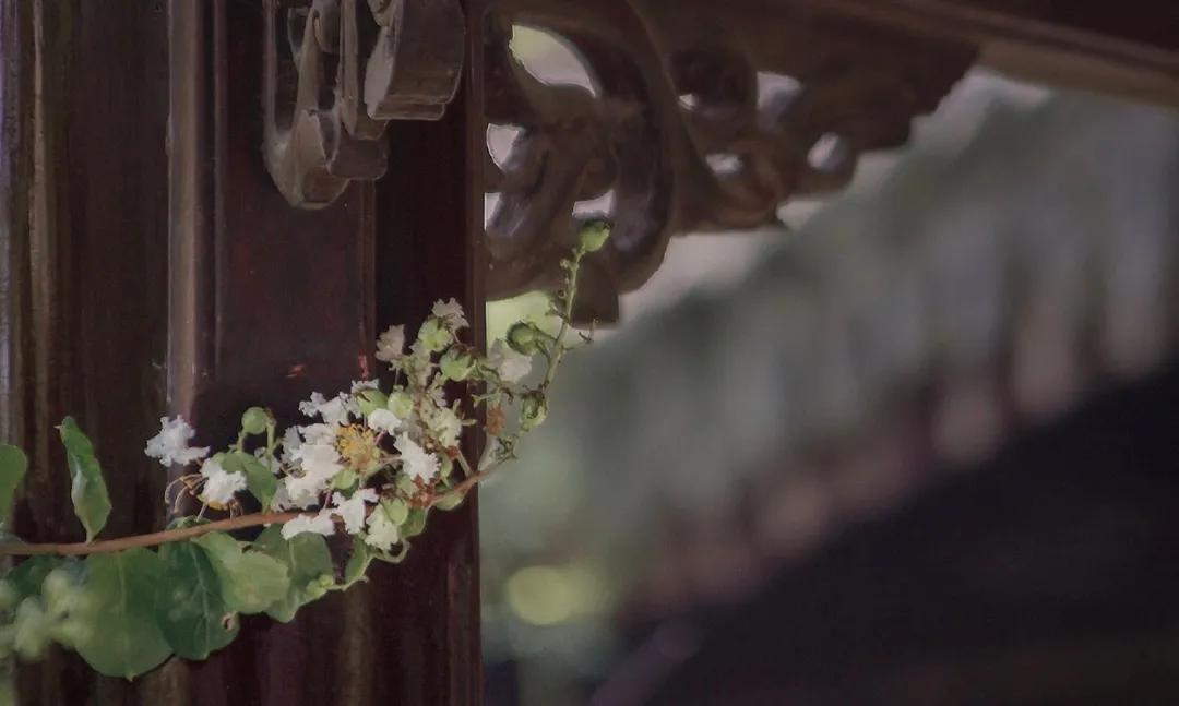 没有存在感的省叫什么,没存在感的省份