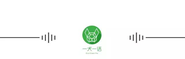 猫砂垃圾分类怎么处理,垃圾分类猫砂属于哪类