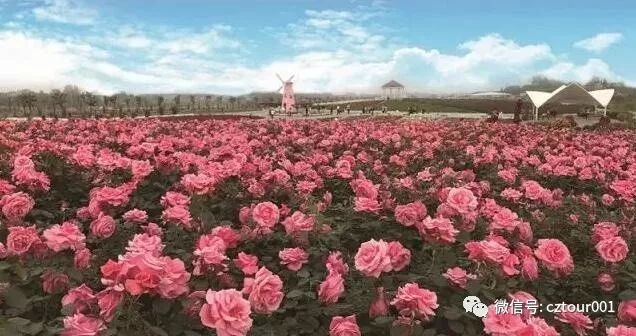 常州这10个被全省表彰的“网红村”、“创意园”，你去过吗？