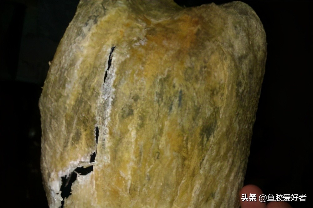 新手入门鱼胶,新手入手鱼胶哪种好