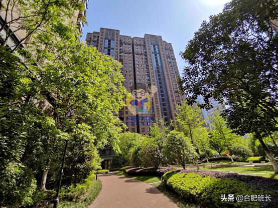 滨湖省府板块高速,实探滨湖区省府中轴禹洲绿城兰园