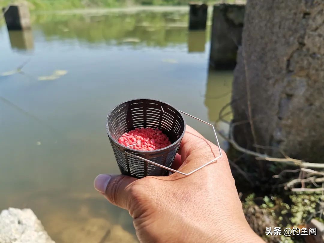 废弃鱼塘鱼怎么钓,废弃鱼塘鱼特别少怎么钓