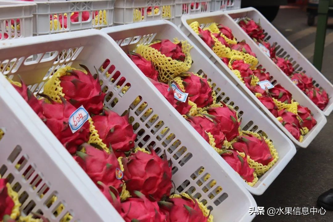 水果批发市场卖水果怎么收费,新手去水果批发市场的几大技巧