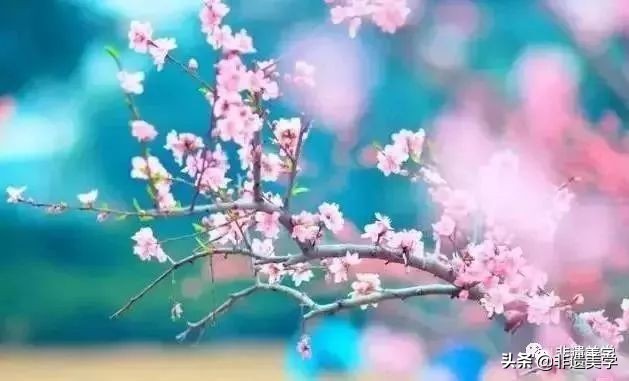 年味最浓的旅游地方,2022全国年味儿最浓的地方