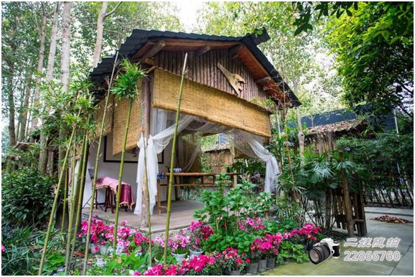 閫熷害鎵撳崱,閫熷害鎵撳崱鎷嶇収