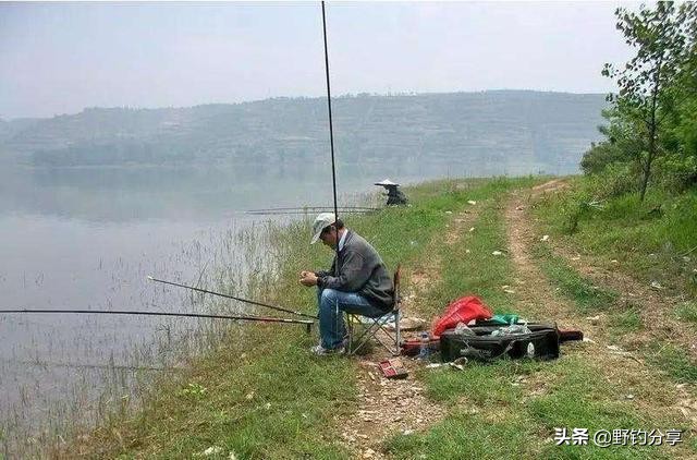 好浮漂和便宜的有啥区别,低端浮漂