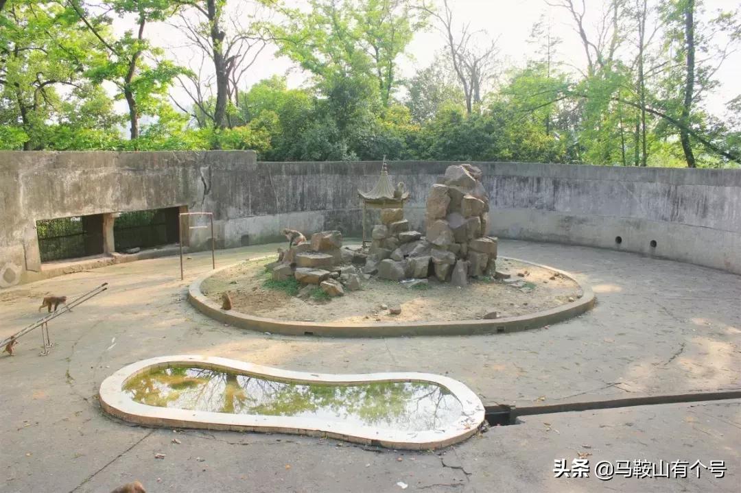 马鞍山特别大的动物园,马鞍山野生动物世界