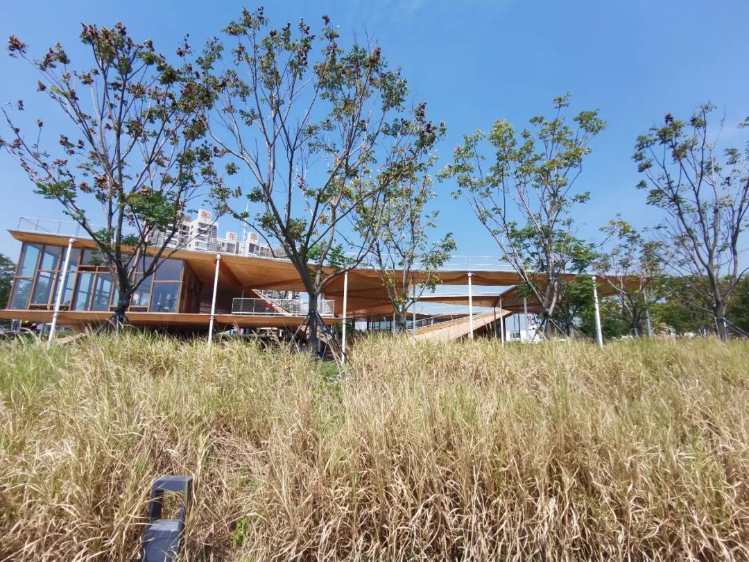 蝶变茅洲河，遇见城之美/同济设计TJAD