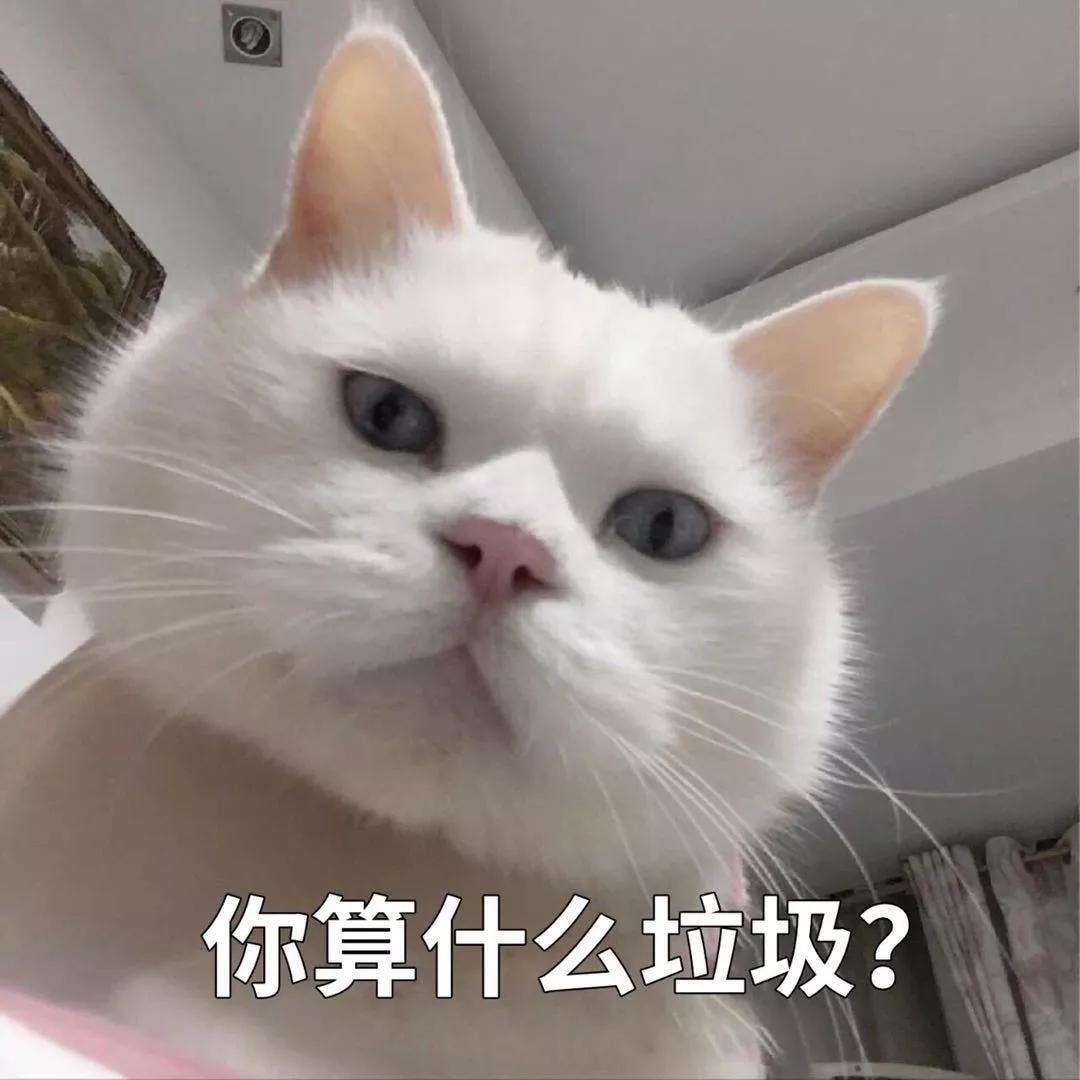 垃圾分类的灵感,垃圾分类创意艺术