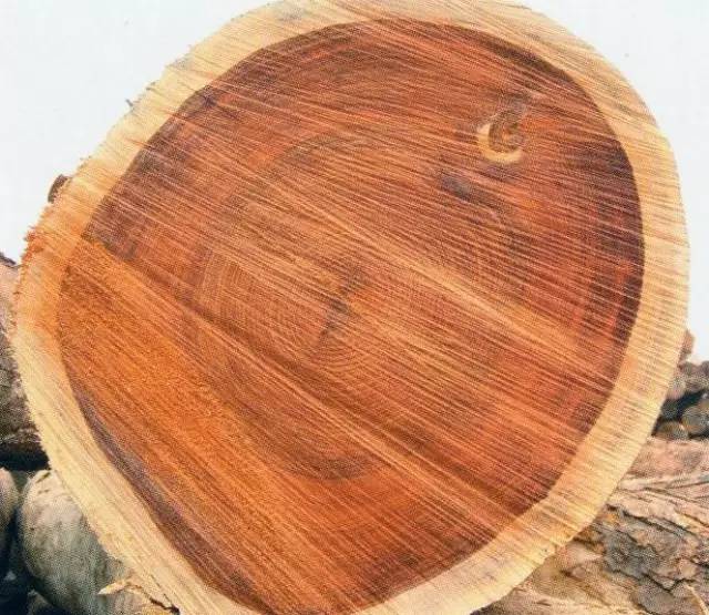 木头知识大全100条,木头种类大全及图片