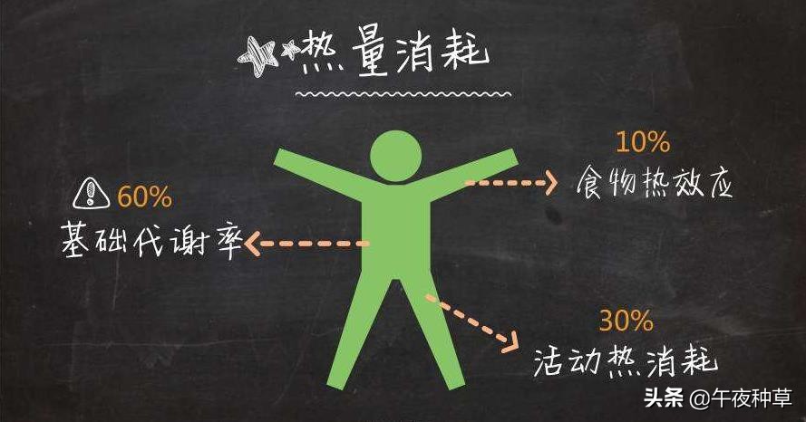 上半年最值得入手的跑鞋推荐top10,合适入手的跑鞋有哪些推荐