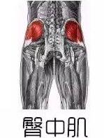 翘臀的标准是臀部肌肉紧实有力,扁平臀练出翘臀用什么器械最有效