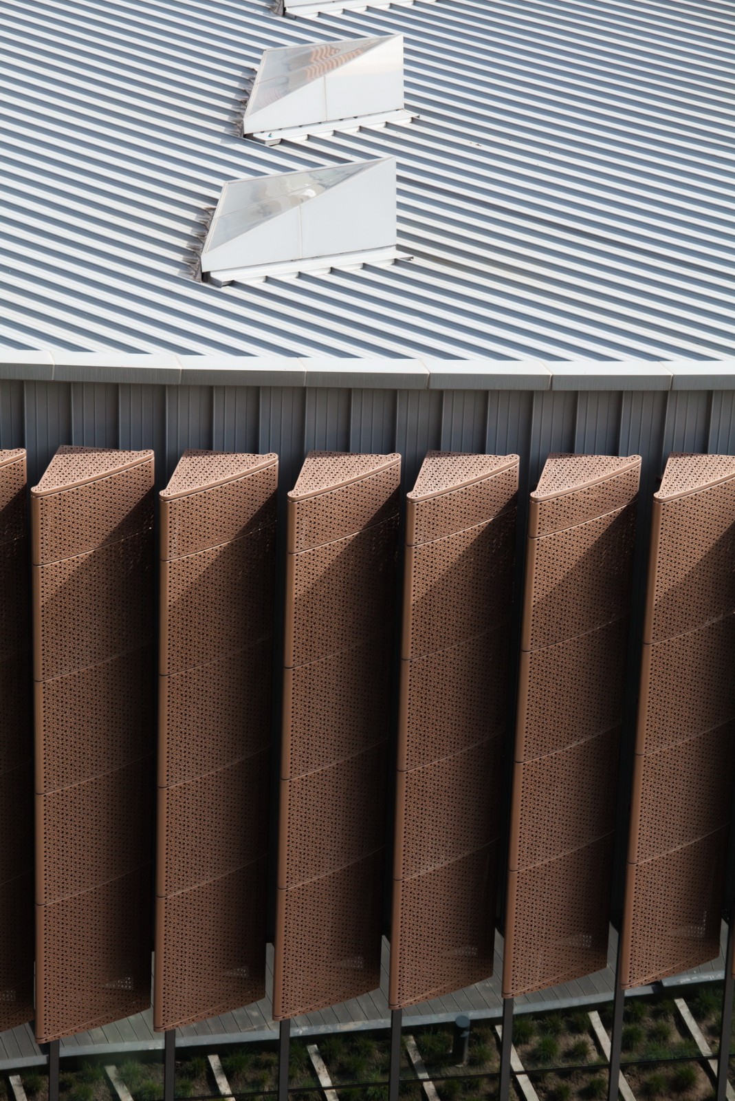 上海科技大学张江校区体育馆,上海科技大学体育学院